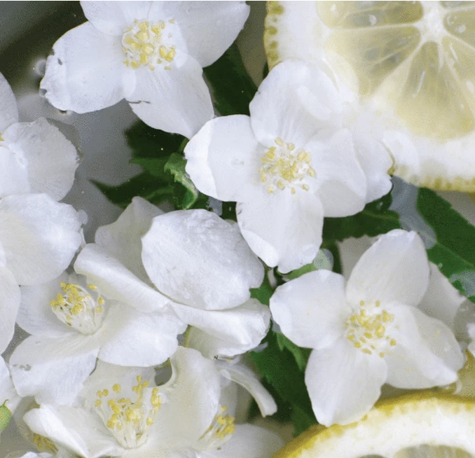 Classy AF Wood Wick Candle