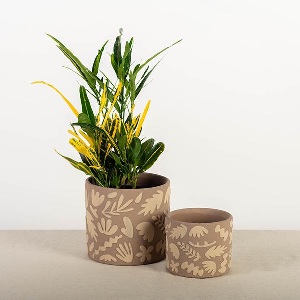 Brown Pot w/Leaves