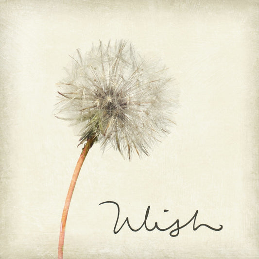 wish-marble-coaster