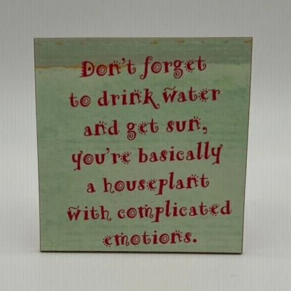 Don't Forget Water Coaster