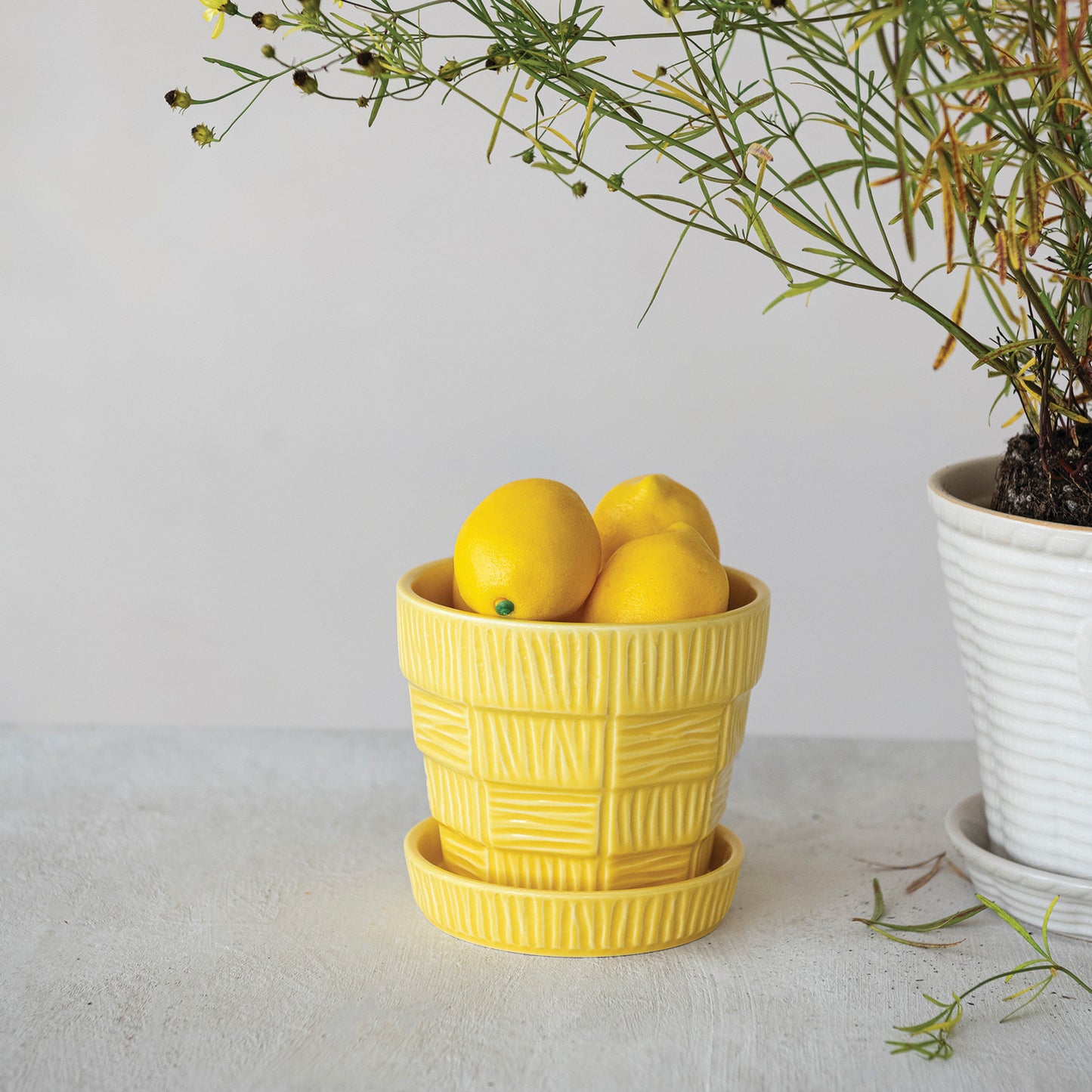 Yellow Pot w/Saucer