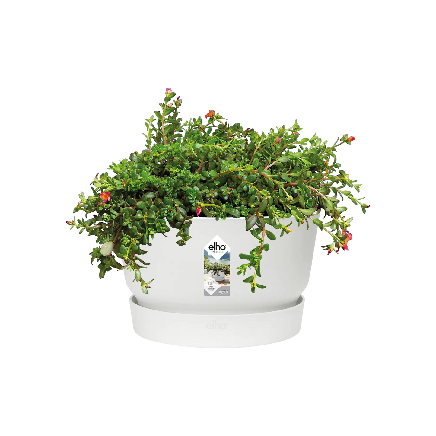 greenville-bowl-planter-white-33cm