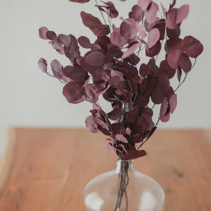 red-eucalyptus-bunch