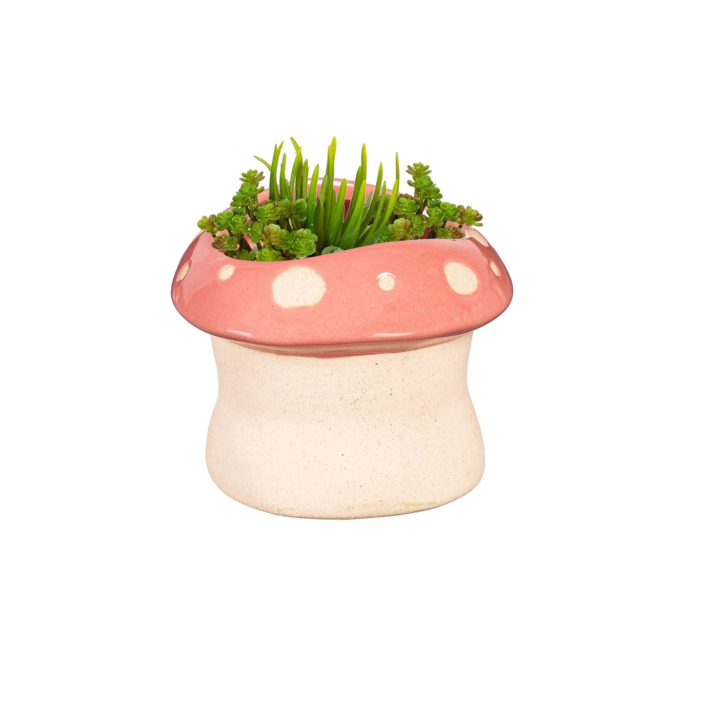 Mushroom Pot