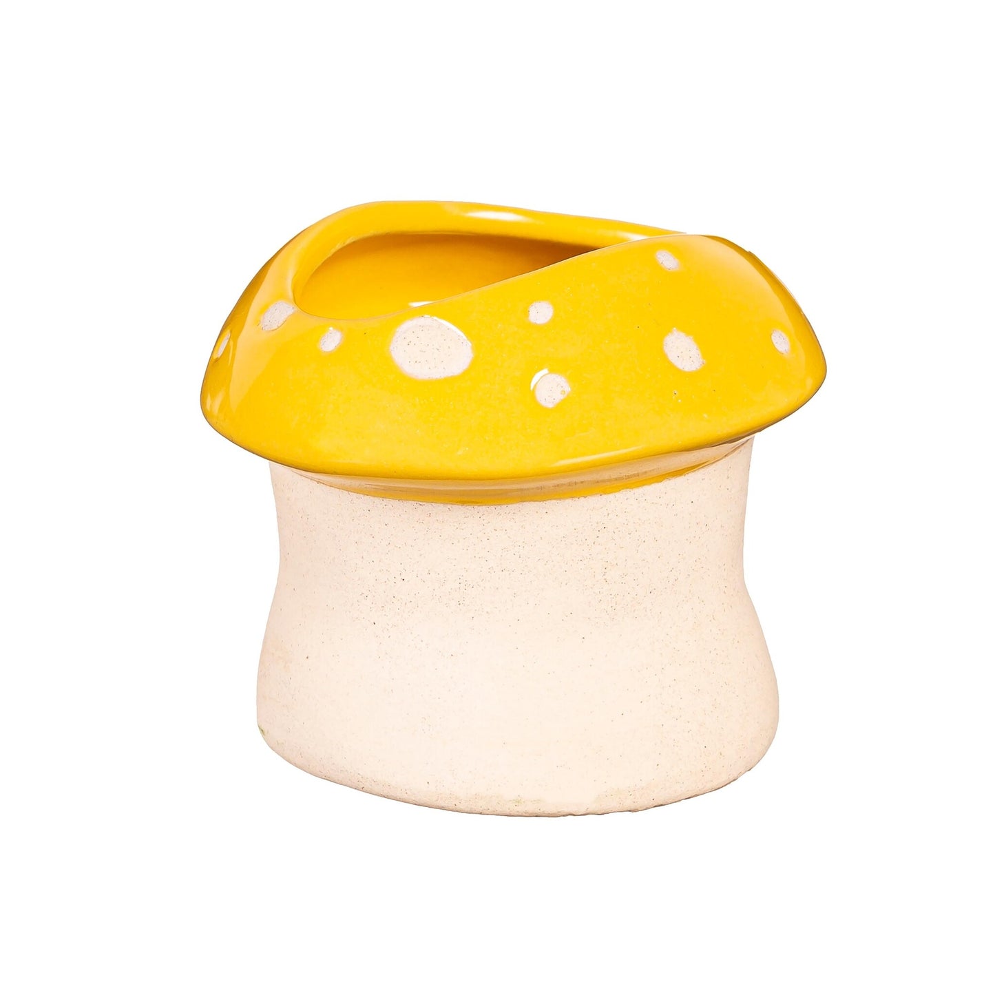 Mushroom Pot