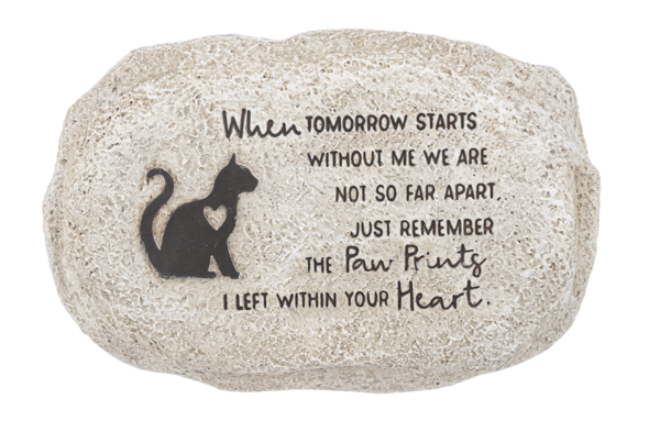 cat-memory-stone