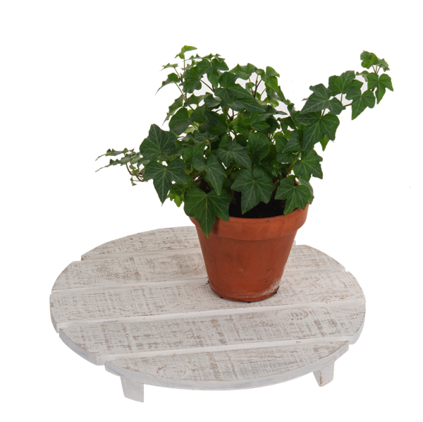 small-white-wood-riser-12