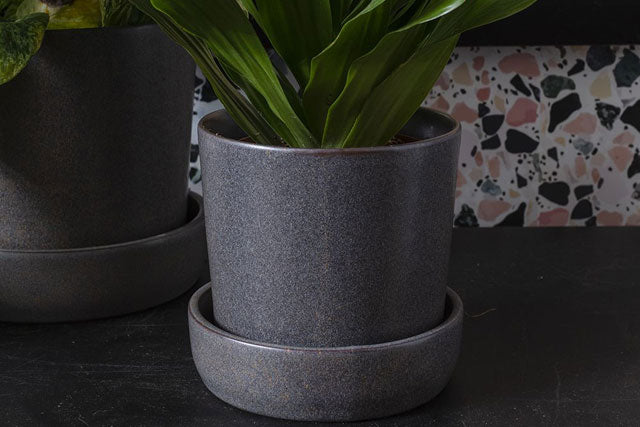 Watson Pot w/Tray - Black