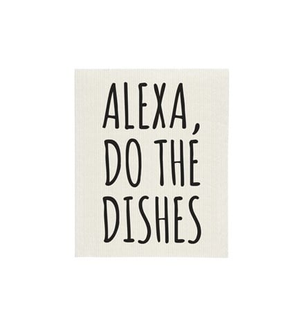 alexa-do-dishes-sponge-dishcloth