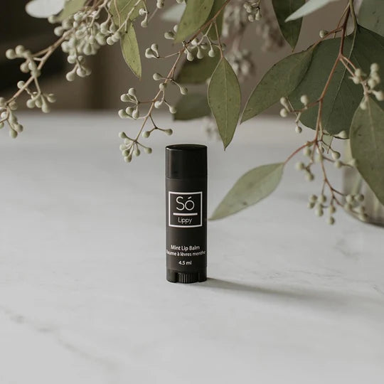 So Lippy Balm