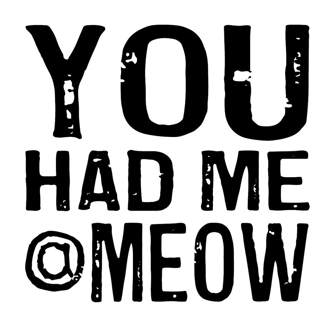 you-had-me-at-meow-coaster
