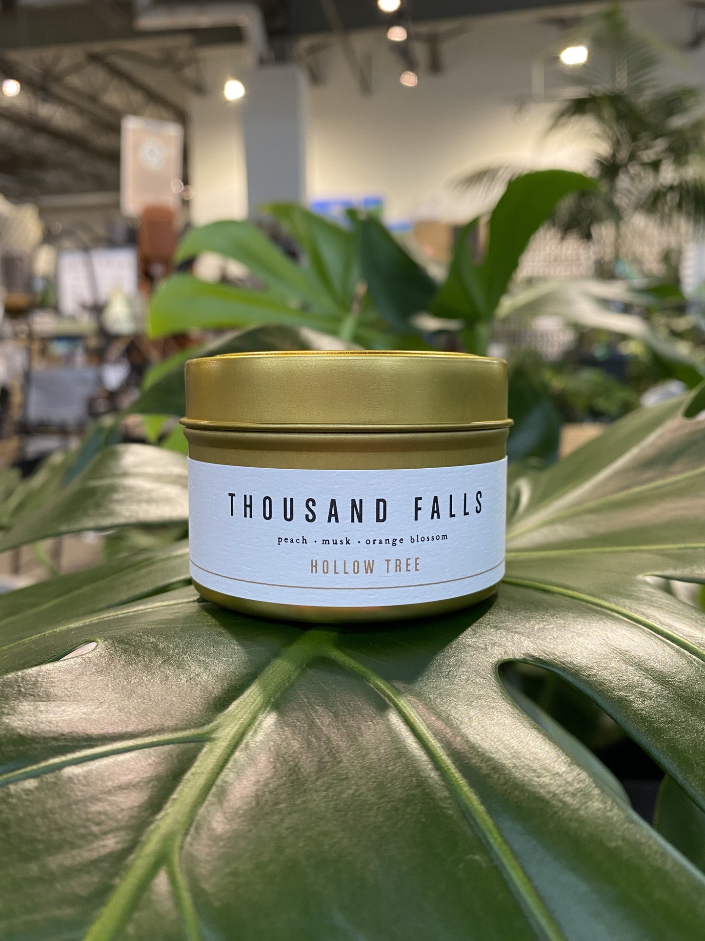 thousand-falls-travel-candle-4oz