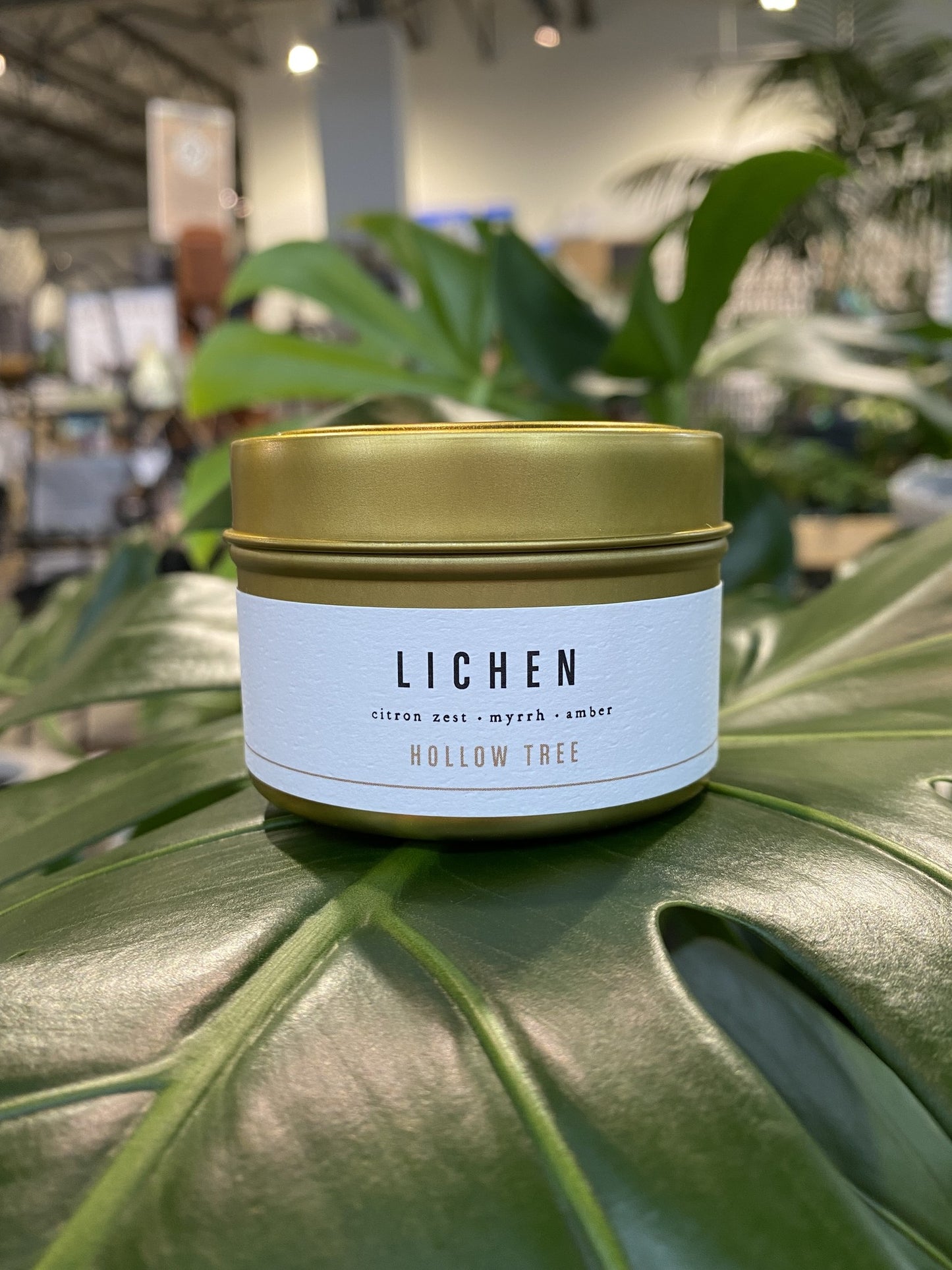 lichen-travel-candle-4oz