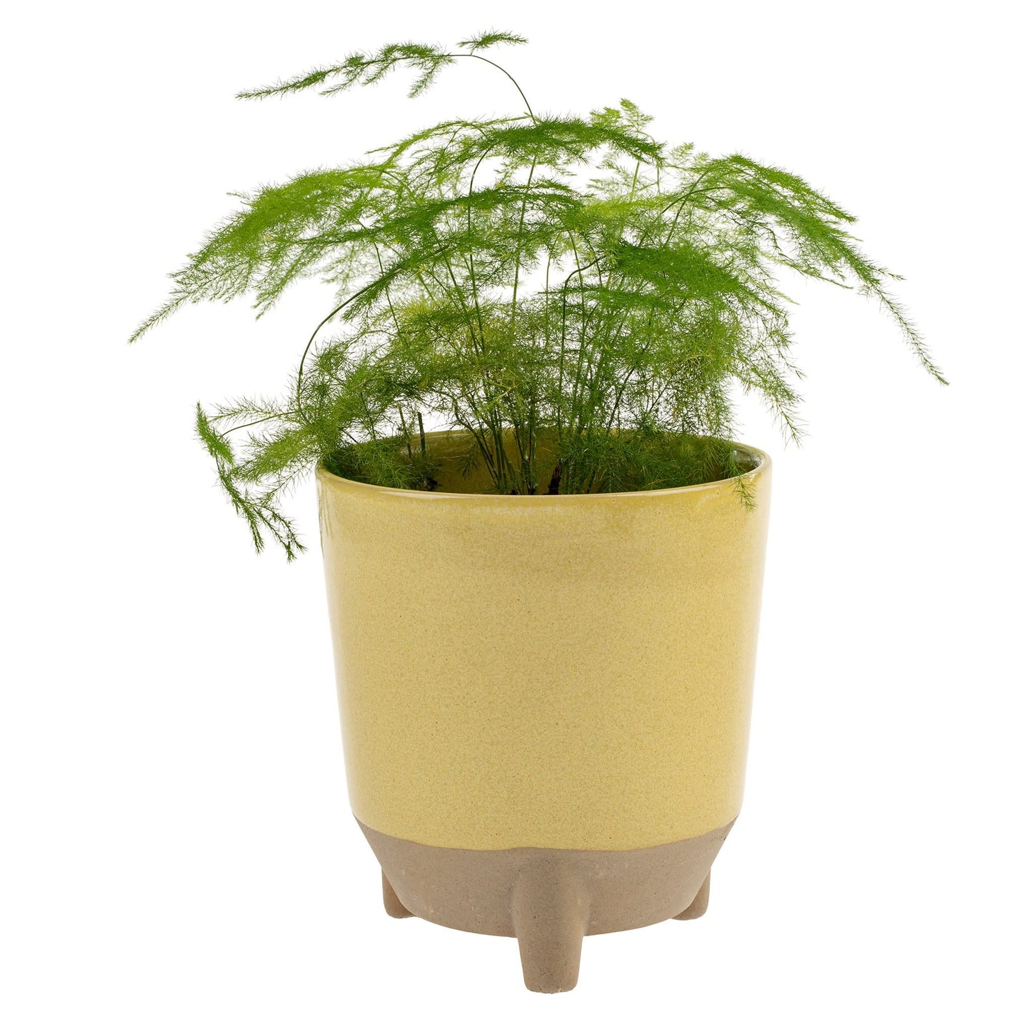 botanist-pot-lemon