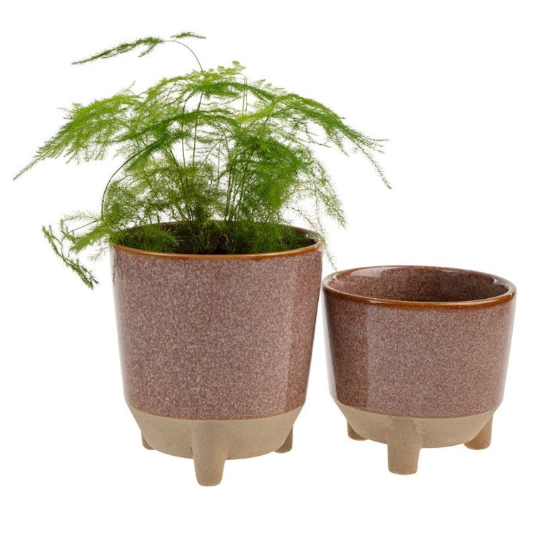Botanist Pot - Plum - 4"