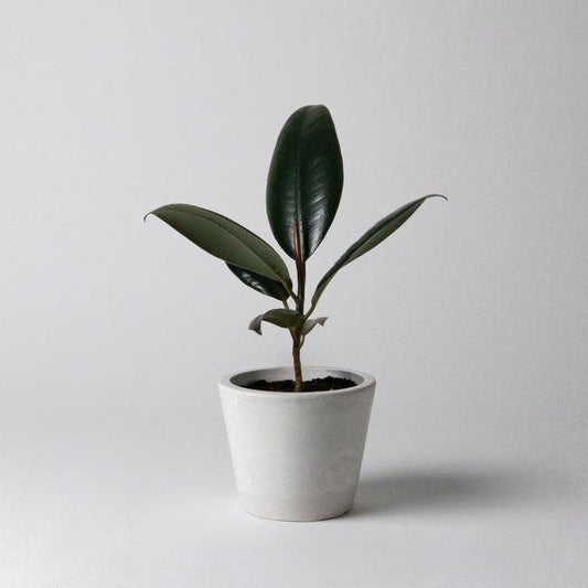 signature-stone-planter-3