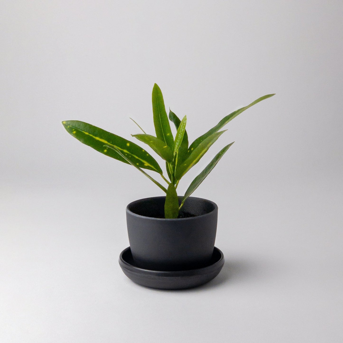 bamboo-fibre-mini-planter-black