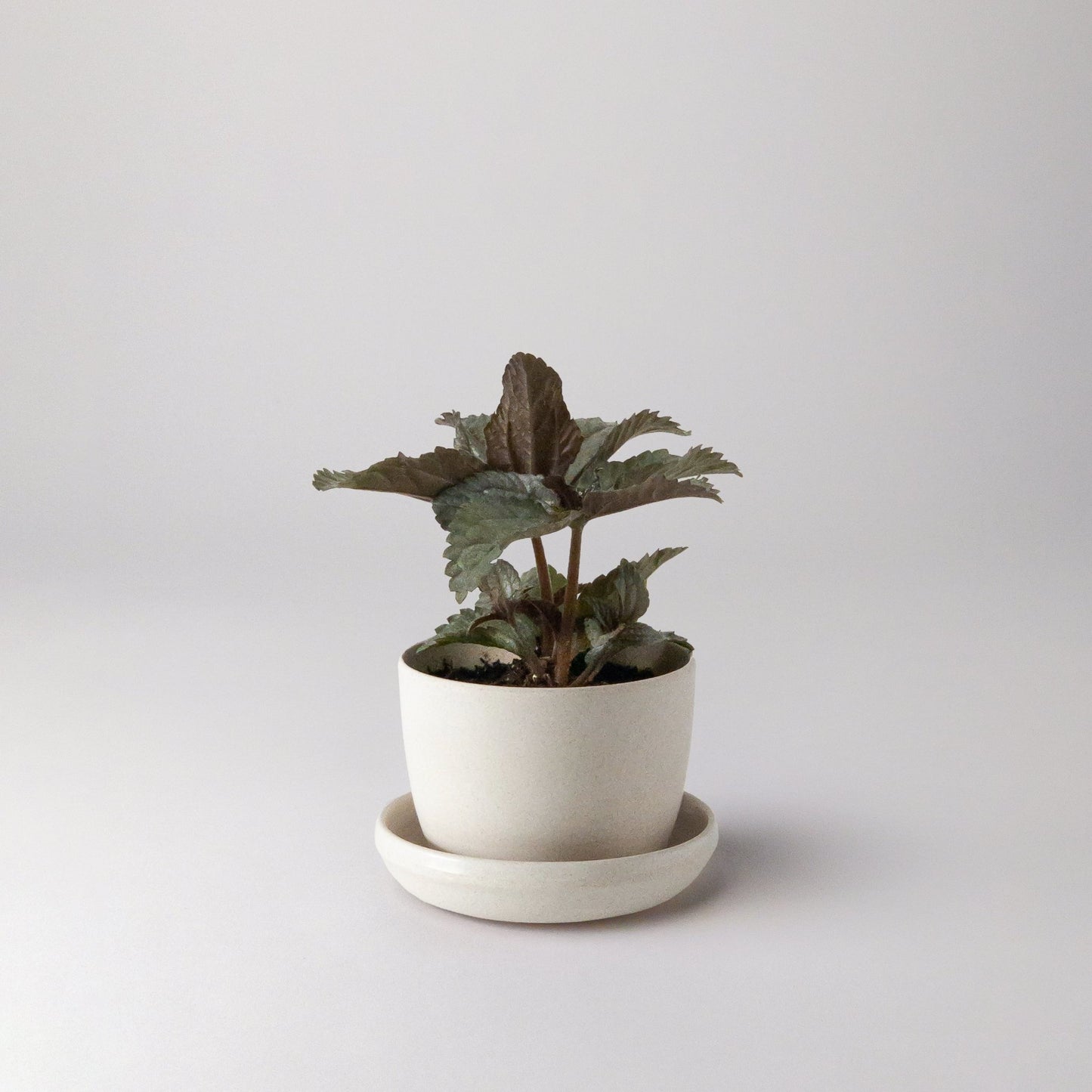 bamboo-fibre-planter-white-3