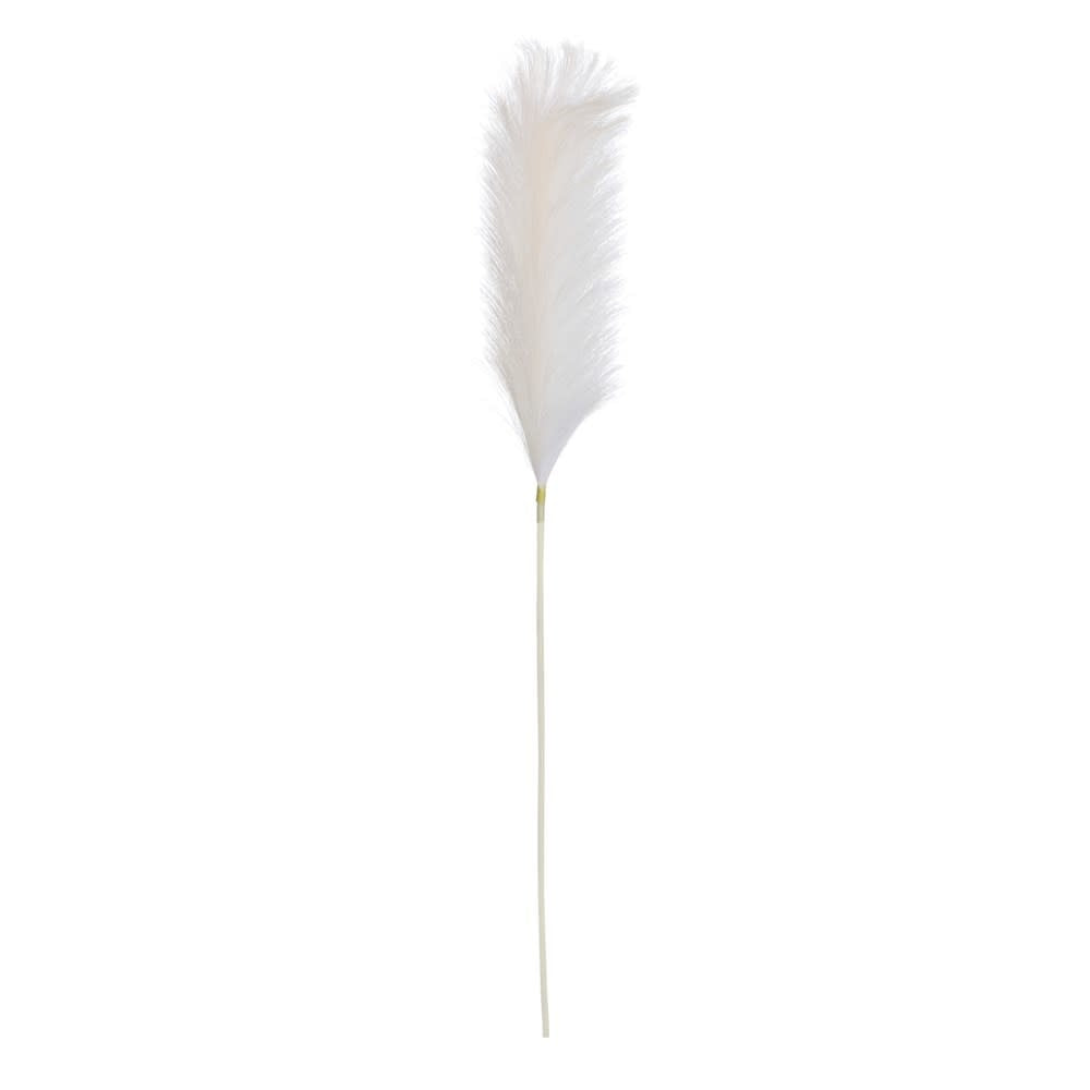 plume-grass-white-41