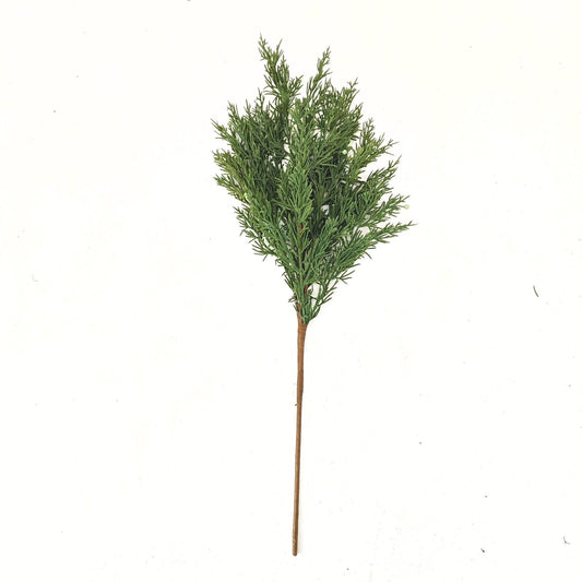 24-chinese-cypress-pick