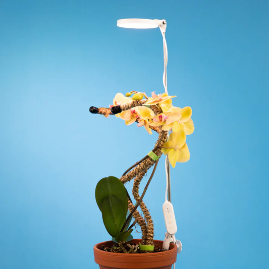 adjustable-led-plant-light-w-timer
