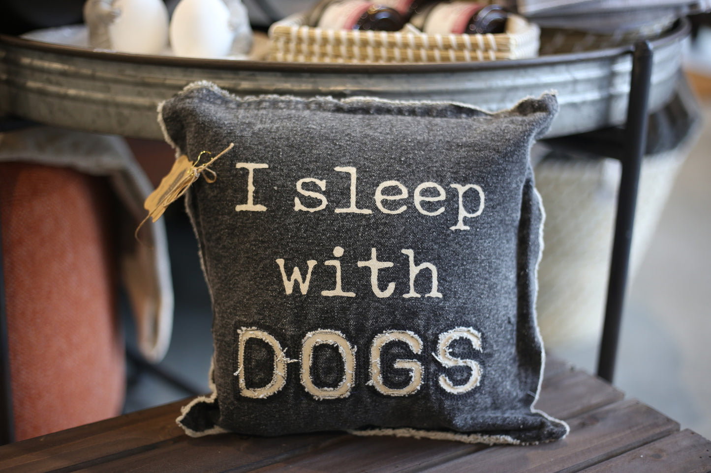 i-sleep-with-dogs-pillow