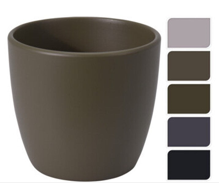 roots-bullet-pot-short