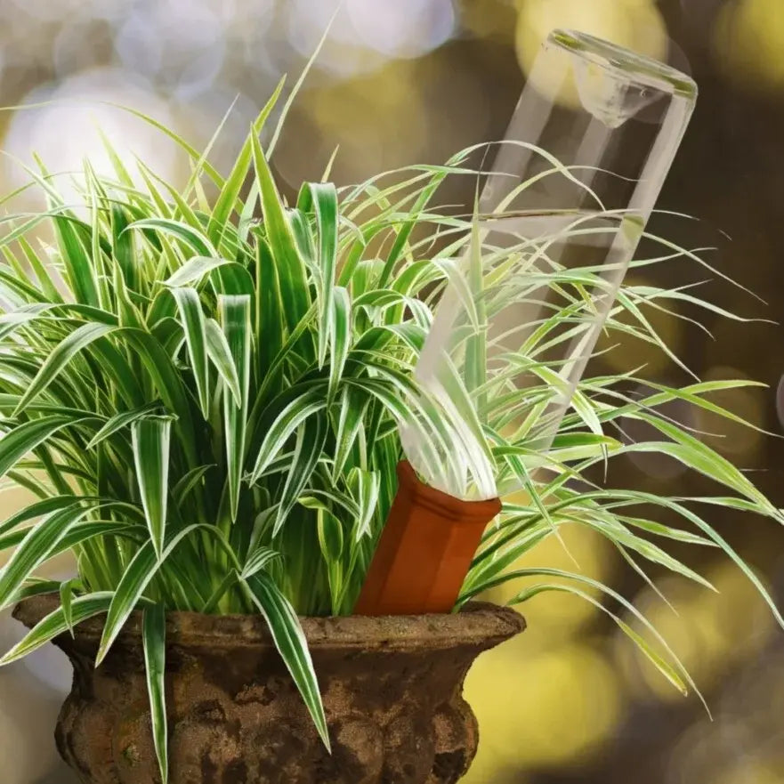 plant-water-spike-for-winebottle