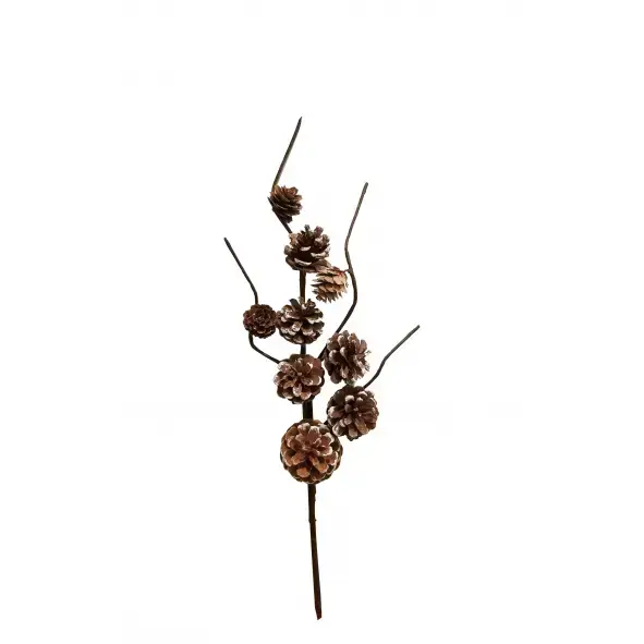 pine-cone-pick