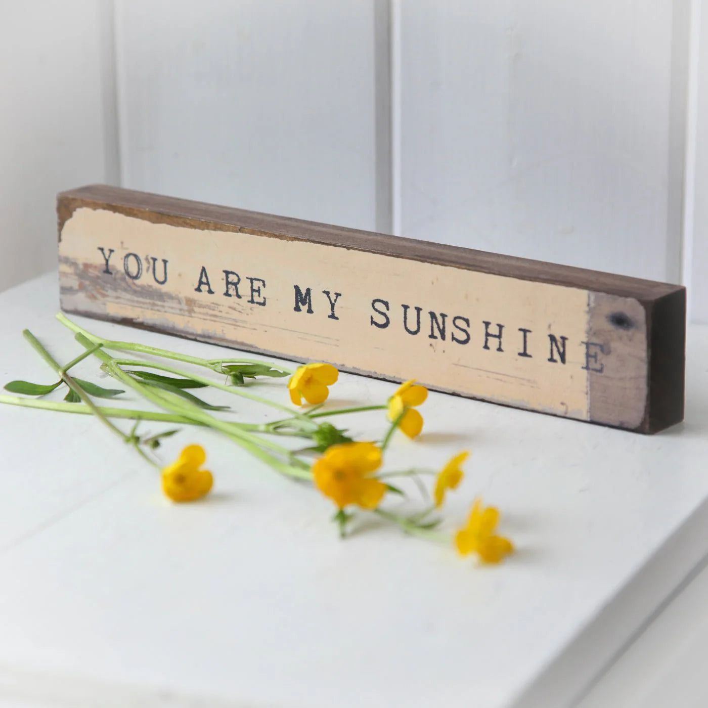 You Are my Sunshine Timber Bit