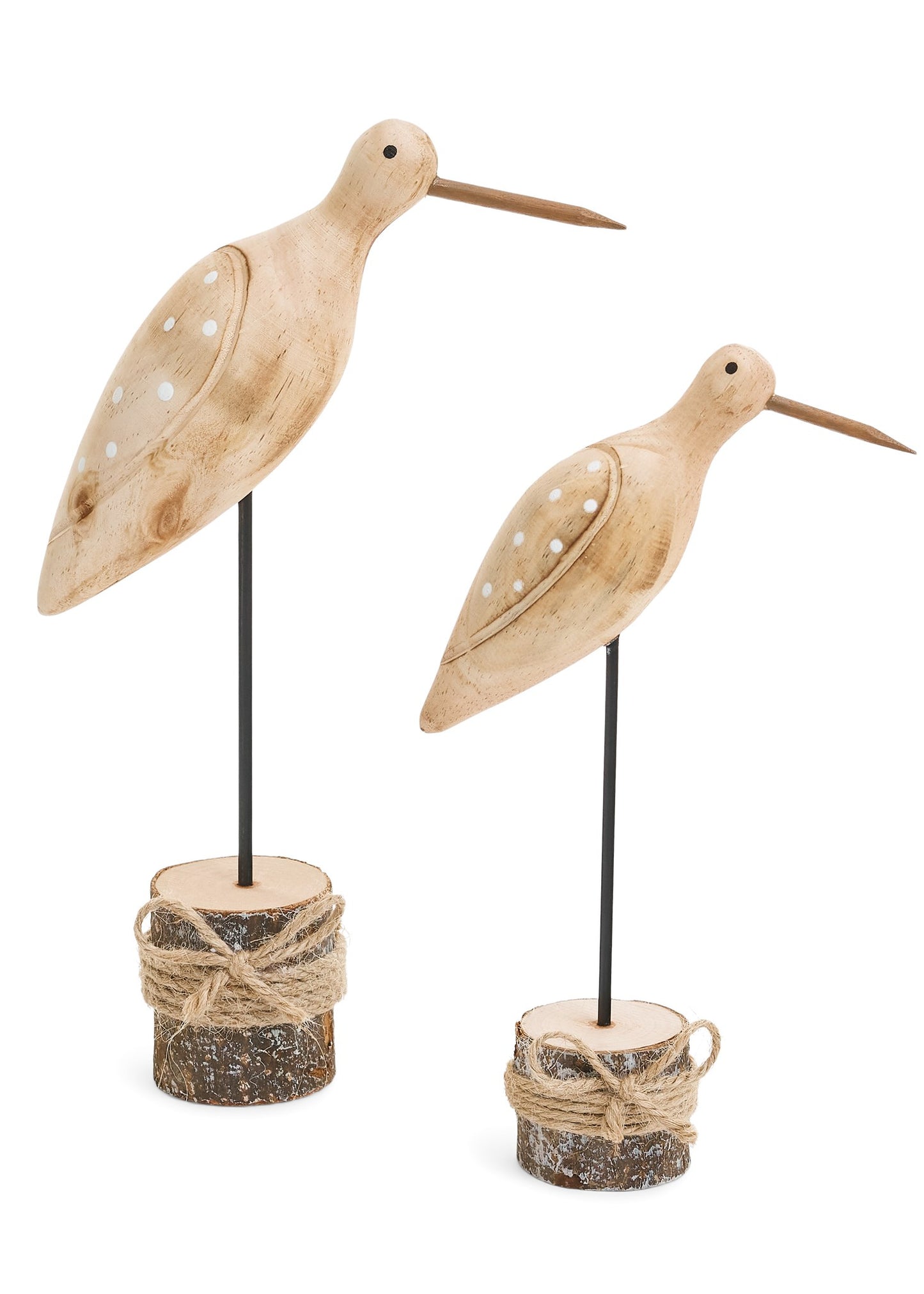 Small Wood Shore Bird