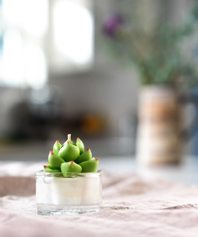 succulent-tealight-candle