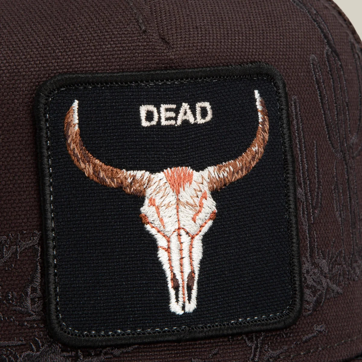 Badlands Skull
