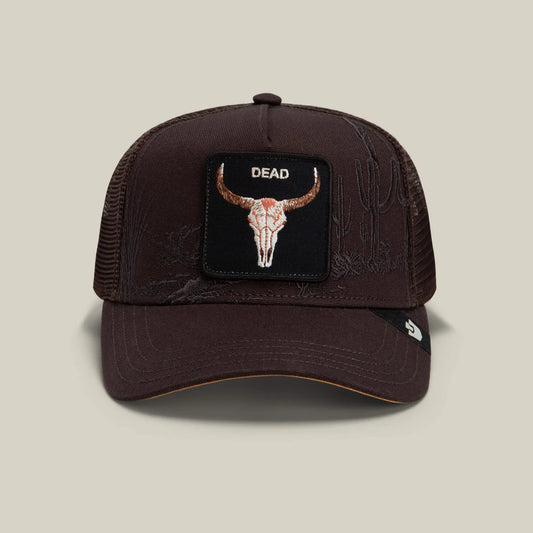 Badlands Skull