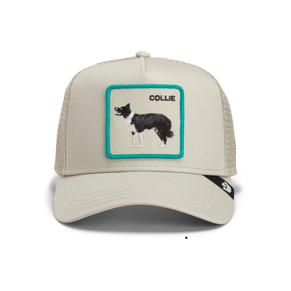 Border Collie Trucker Hat