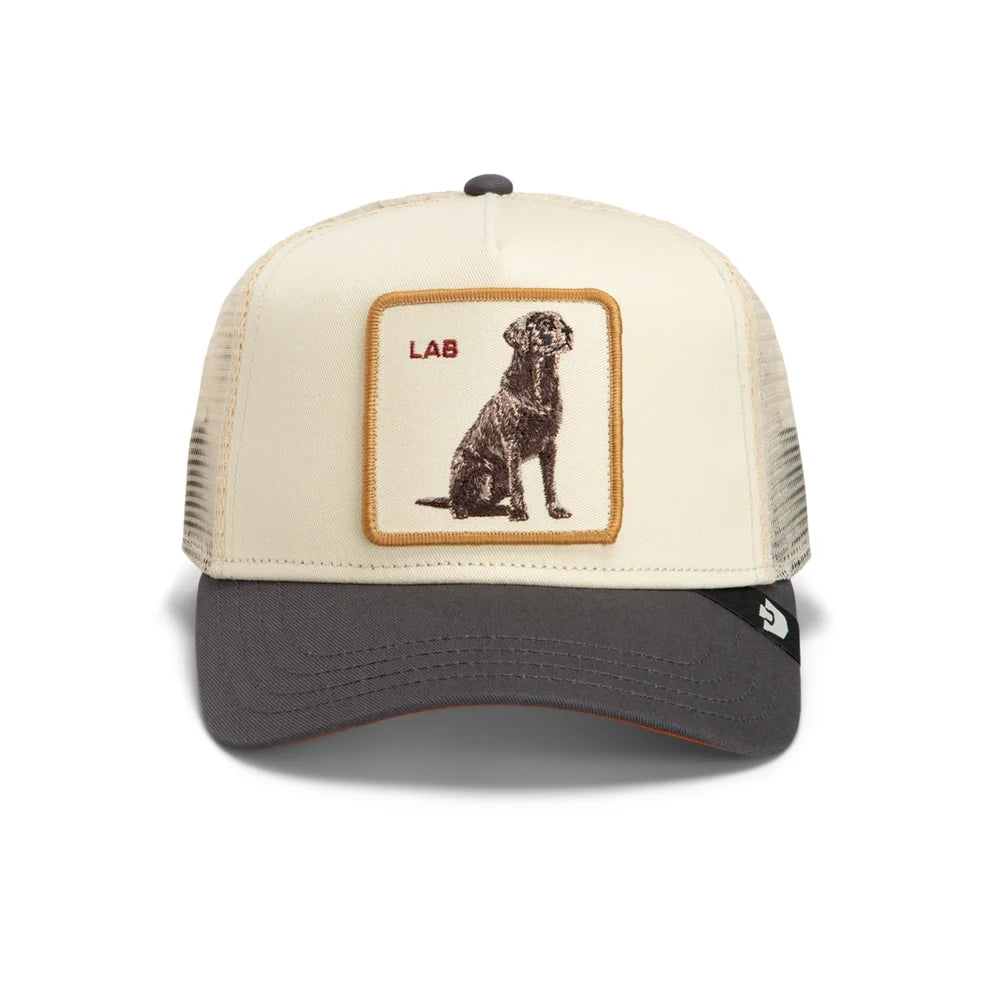 Lab Trucker Hat
