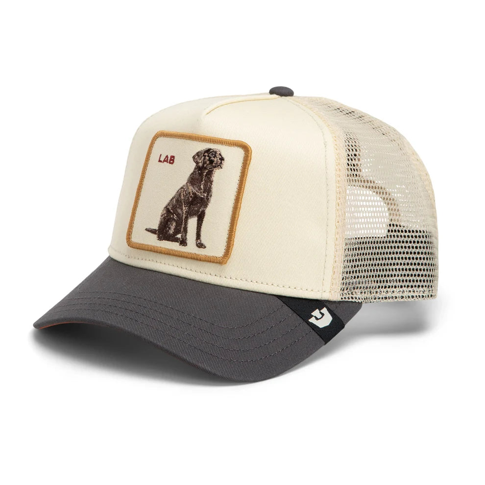 Lab Trucker Hat