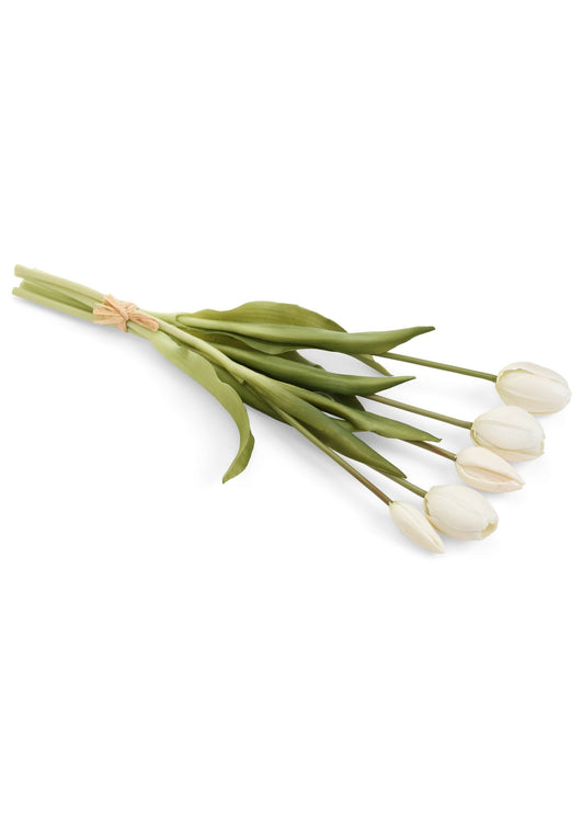 White Tulip Bundle