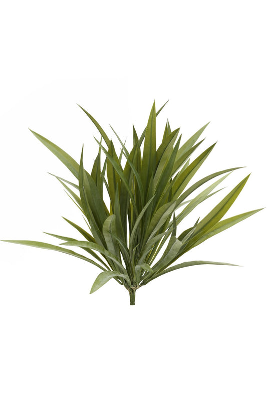 Wild Grass Bunch