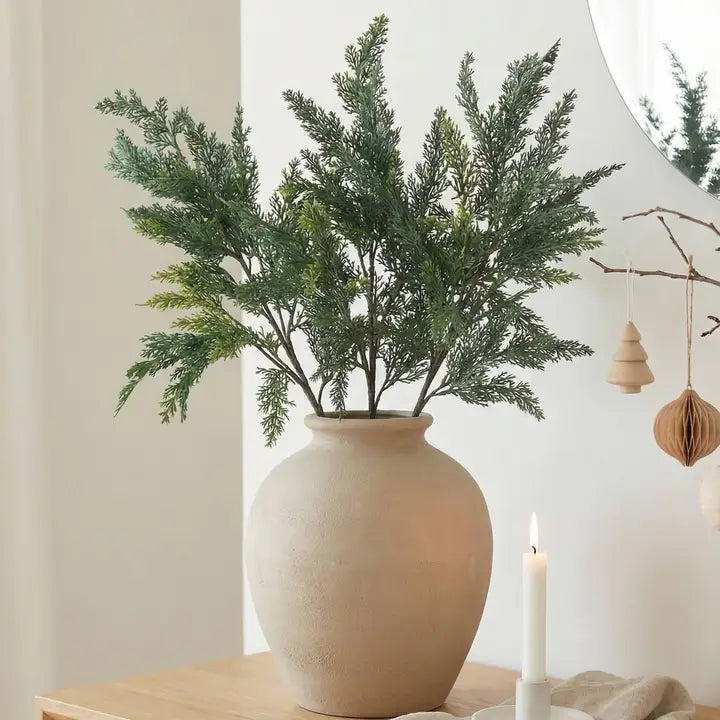 Cypress Stem