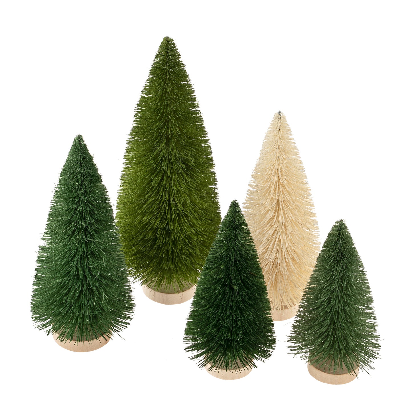 green-bottlebrush-trees-s-5