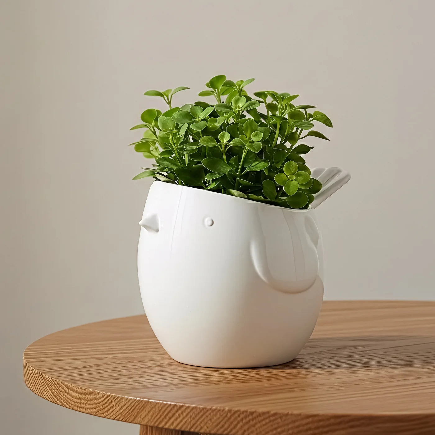 Finch Bird Planter