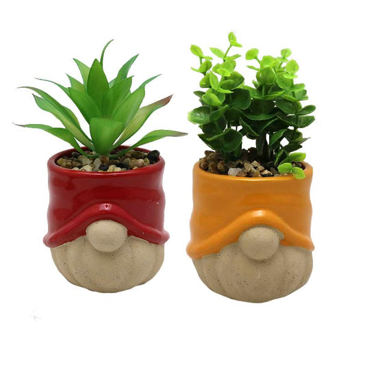 Gnome Planter w/plant