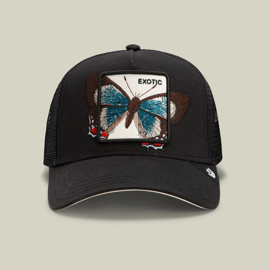 Over The Line Butterfly Hat