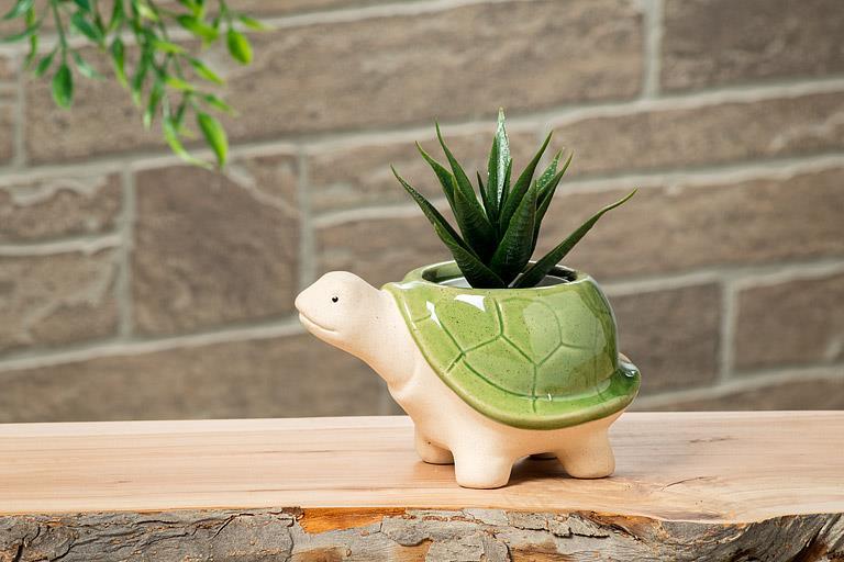 Turtle Planter