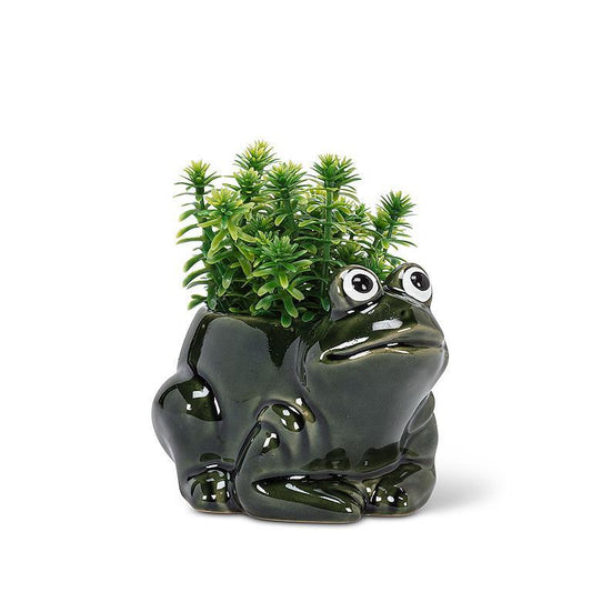 Small Frog Pot