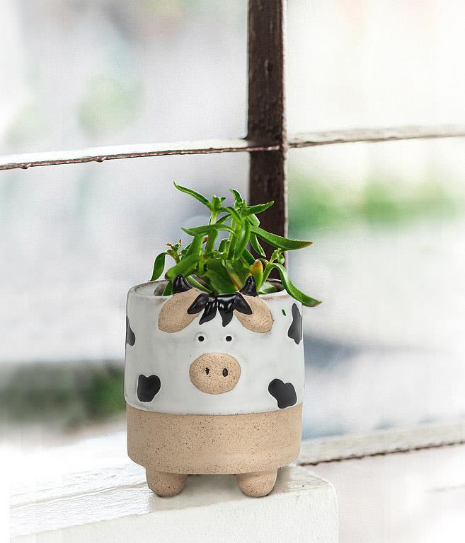 Cow Planter