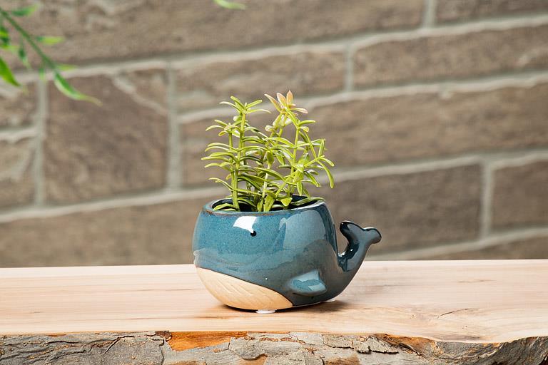 Blue Whale Planter
