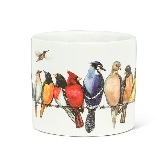 Birds On Wire Pot
