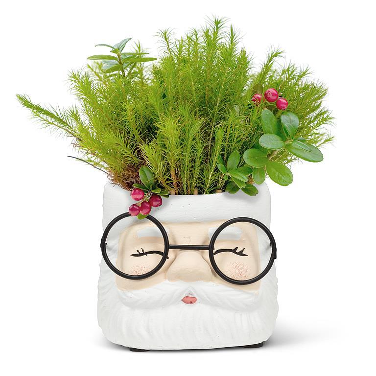 Santa Face Pot